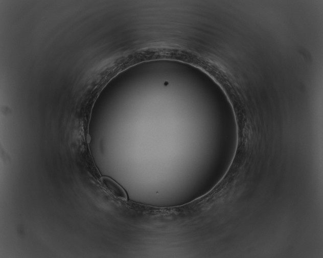 X0000090861062200708030943