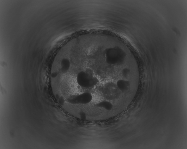 X0000090861063200708030943