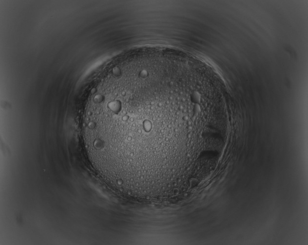 X0000090861064200708030943