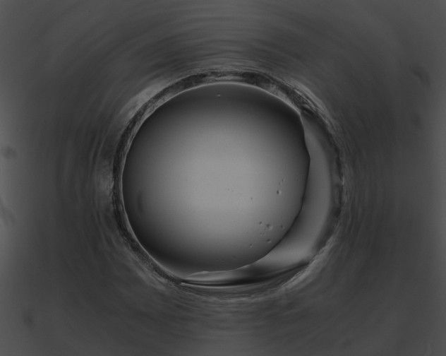 X0000090861065200708030943