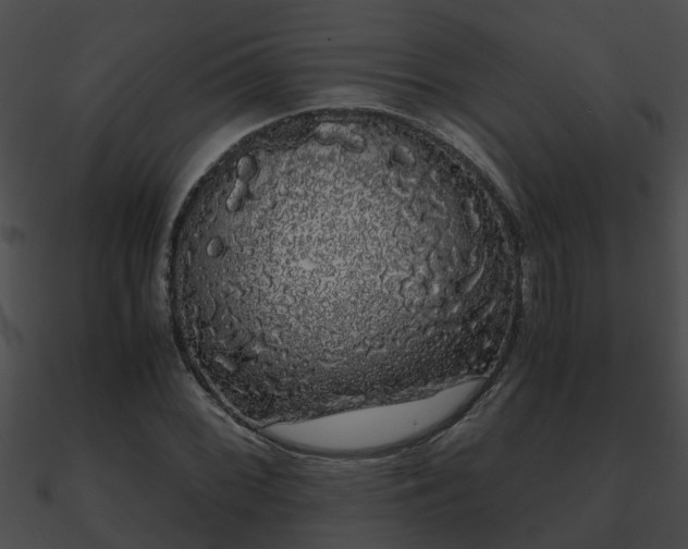 X0000090861068200708030943