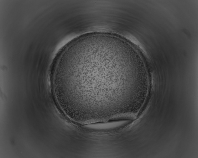 X0000090861070200708030943