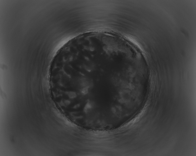 X0000090861071200708030943