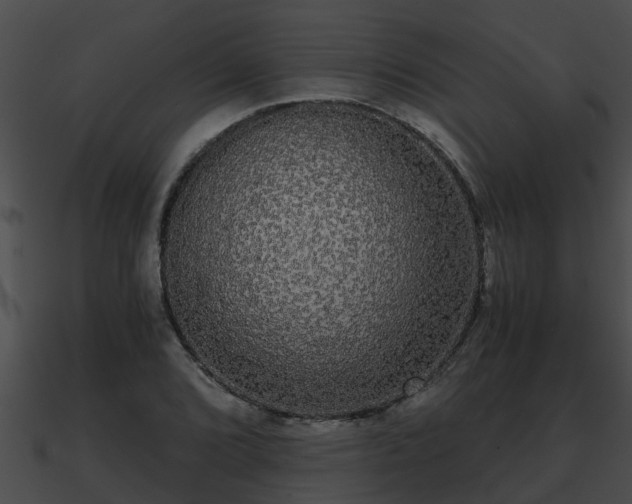 X0000090861072200708030943