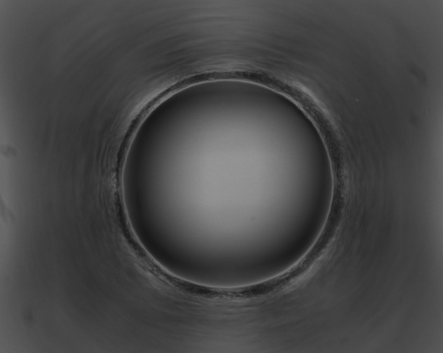 X0000090861073200708030943