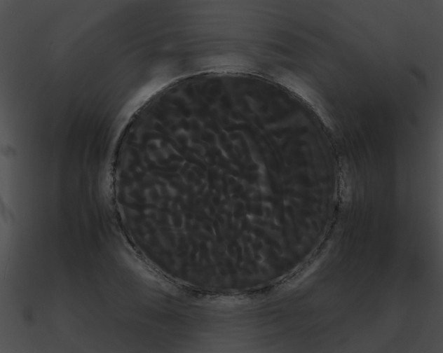 X0000090861074200708030943
