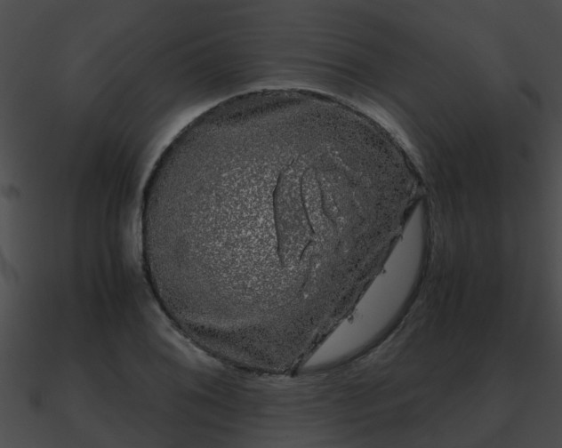X0000090861076200708030943