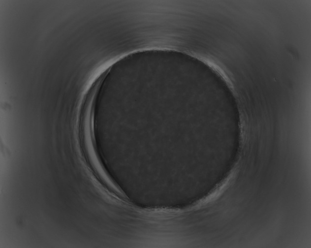 X0000090861077200708030943