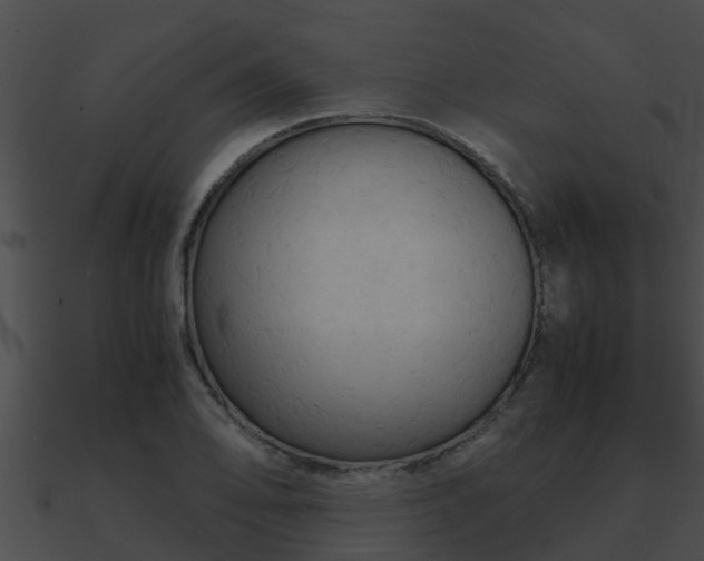 X0000090861078200708030943