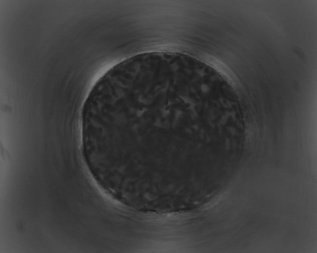 X0000090861079200708030943