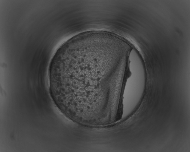 X0000090861080200708030943
