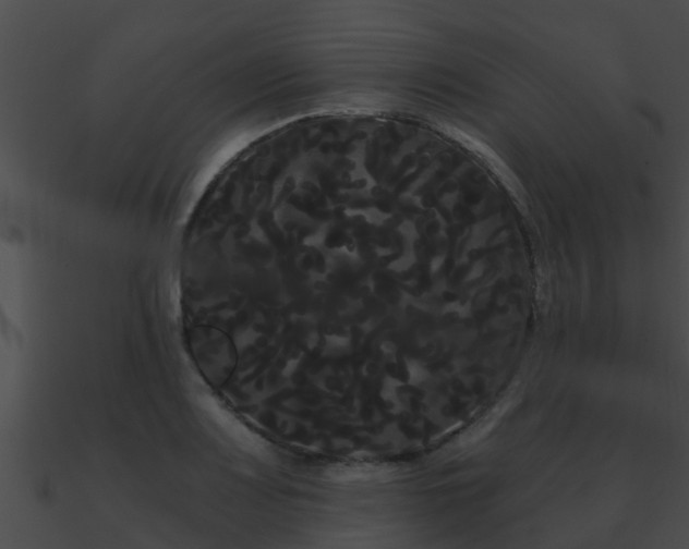 X0000090861083200708030943