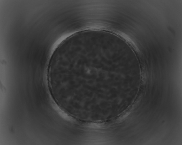 X0000090861086200708030943