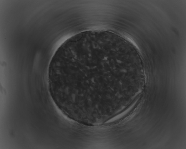 X0000090861087200708030943