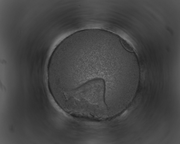 X0000090861088200708030943