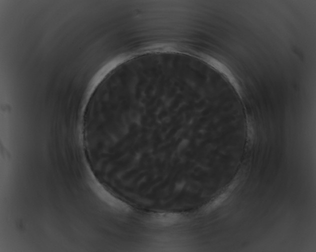 X0000090861090200708030943