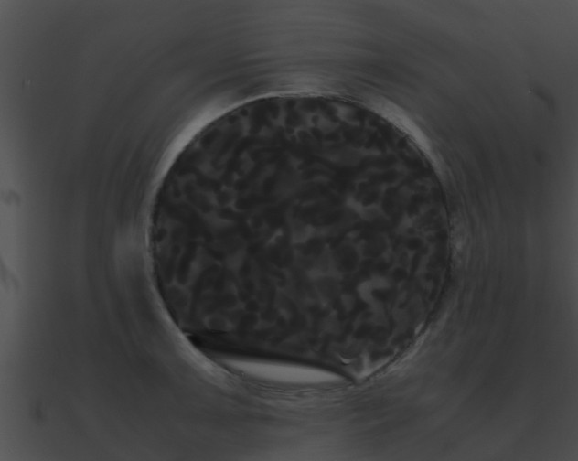 X0000090861091200708030943