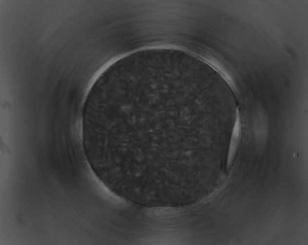 X0000090861092200708030943