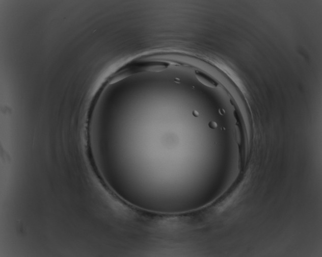 X0000090861093200708030943