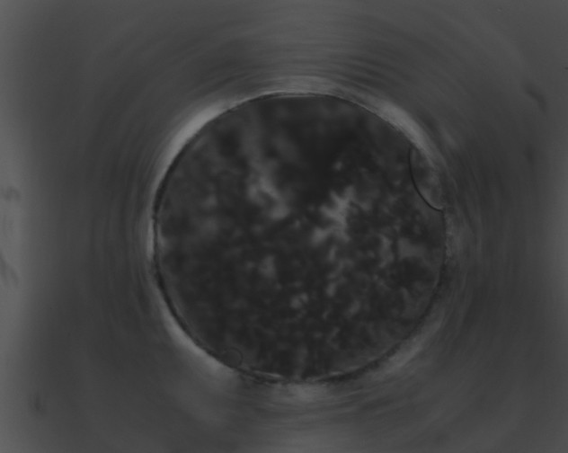 X0000090861095200708030942