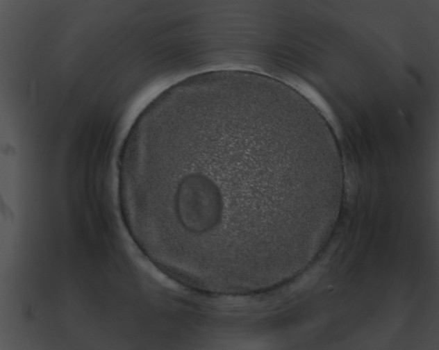 X0000090861096200708030942