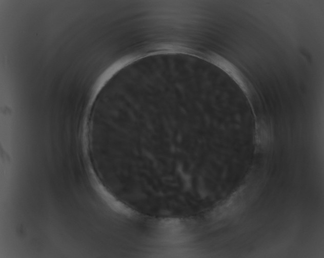 X0000090861098200708030942