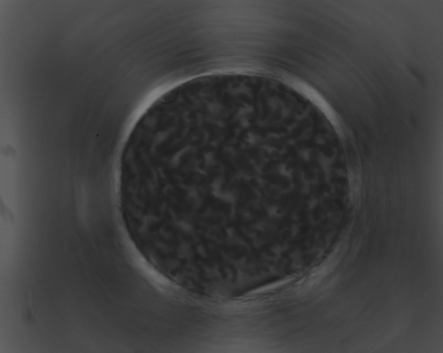 X0000090861099200708030942