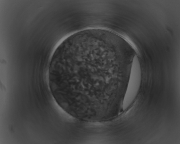 X0000090861100200708030942