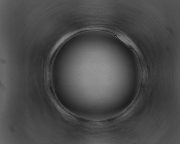 X0000090861101200708030942