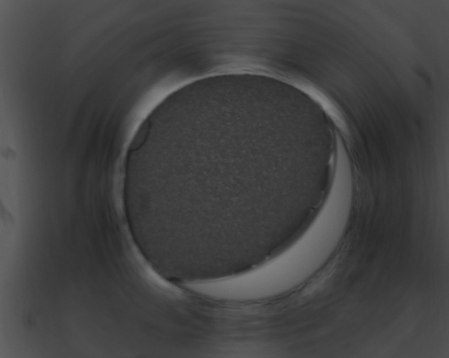 X0000090861102200708030942