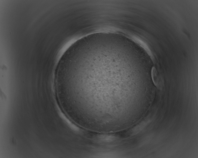 X0000090861103200708030942
