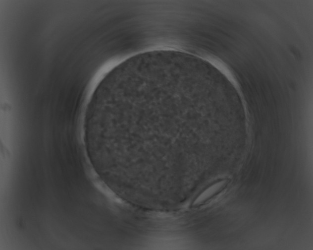 X0000090861104200708030942