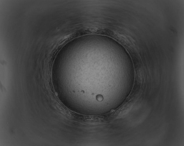 X0000090861105200708030942