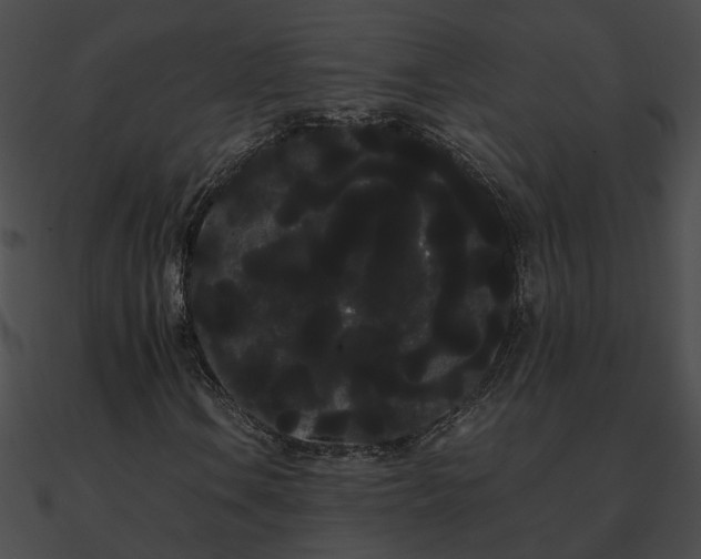 X0000090861106200708030942