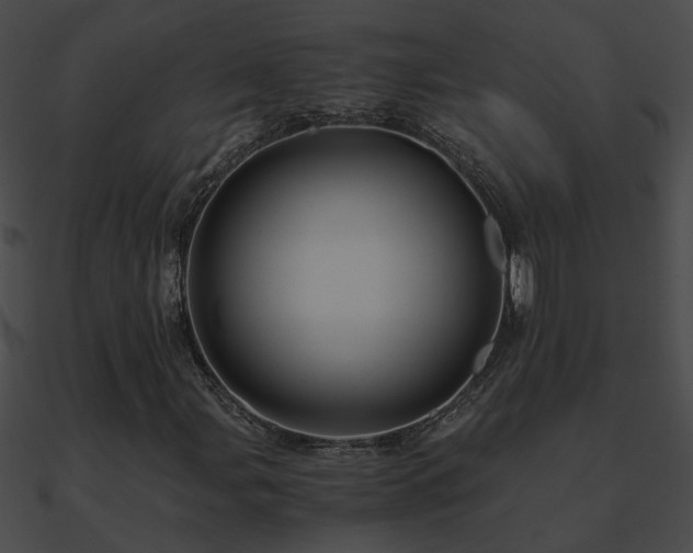 X0000090861107200708030942