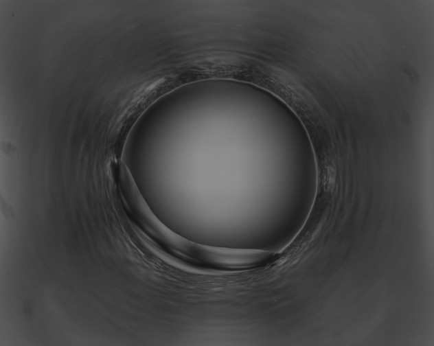X0000090861108200708030942