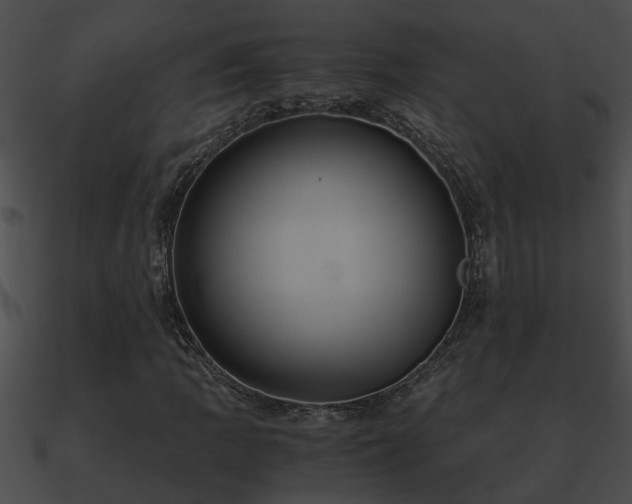 X0000090861109200708030942