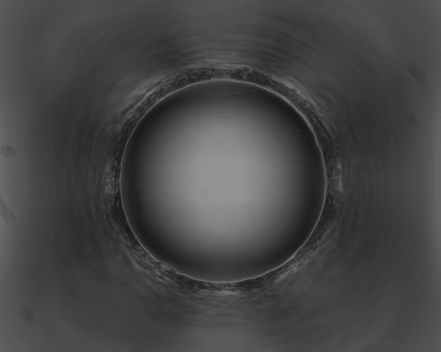 X0000090861110200708030942