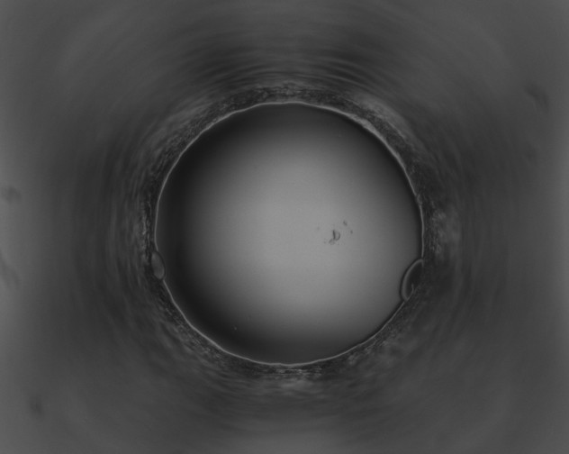X0000090861111200708030942