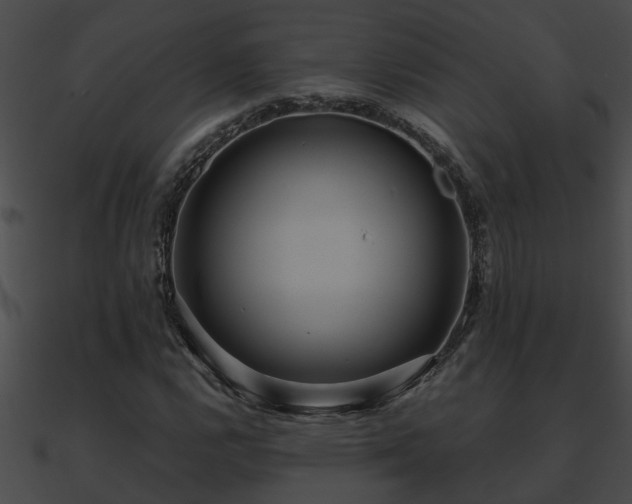 X0000090861112200708030942