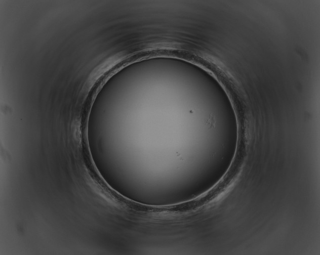 X0000090861113200708030942