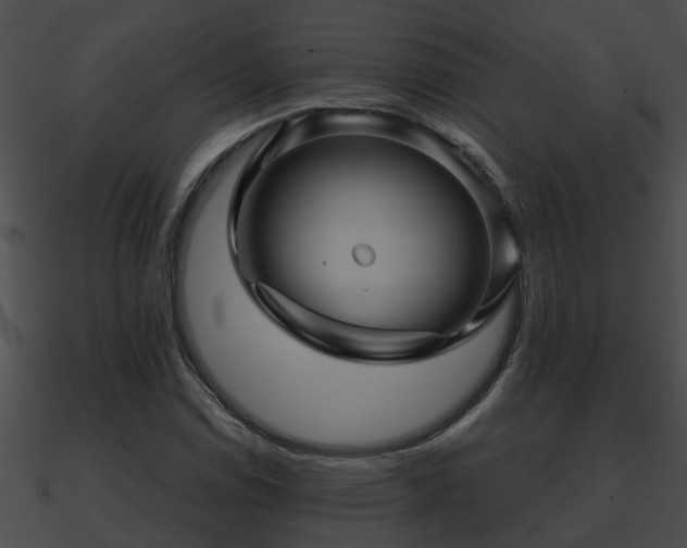 X0000090861114200708030942