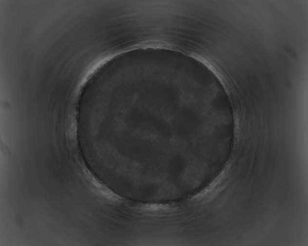 X0000090861115200708030942