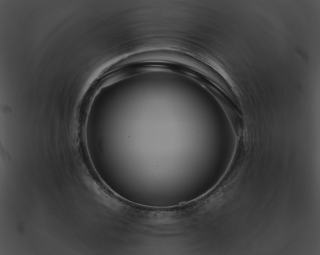 X0000090861116200708030942
