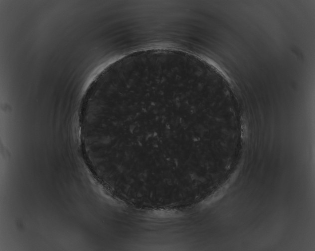 X0000090861117200708030942