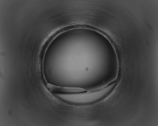 X0000090861118200708030942