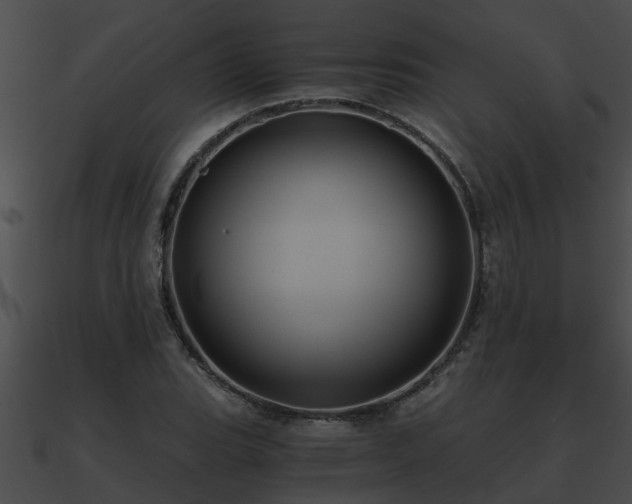 X0000090861119200708030942