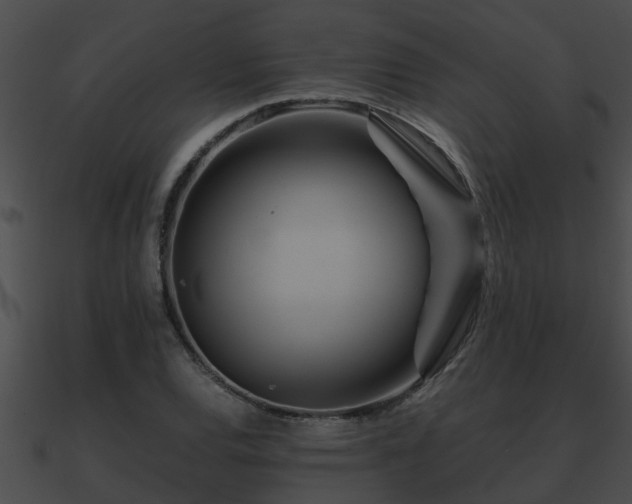 X0000090861120200708030942