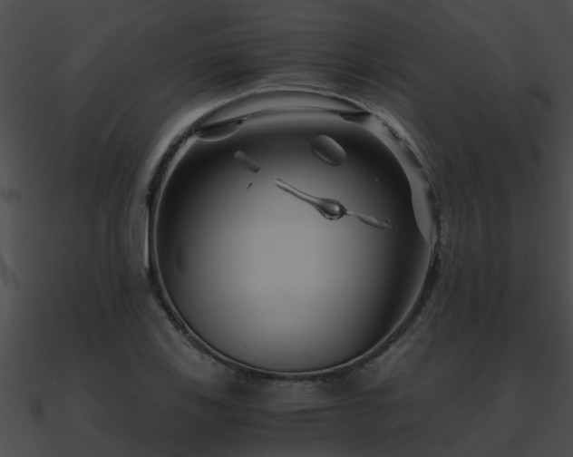 X0000090861123200708030942