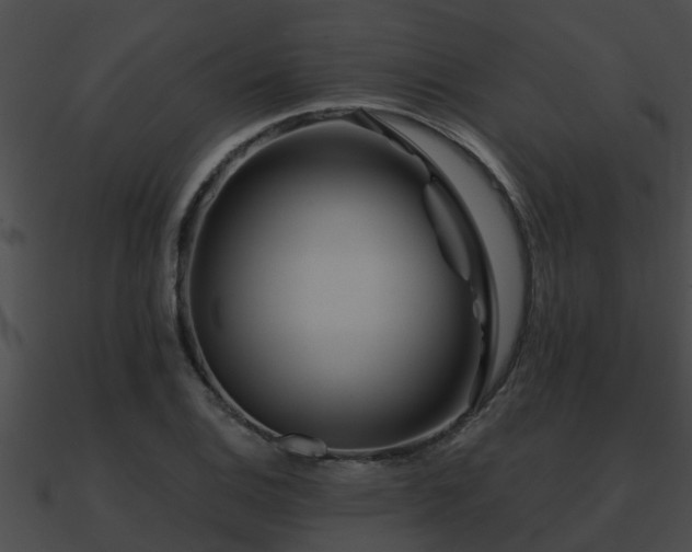 X0000090861124200708030942